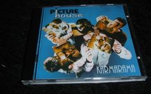 Picture House - Karmarama