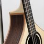 Andy Tobin Bouzouki Image 6