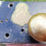 Antique Victorian Chubb And Sons Lock & Safe Company Limited Rim Lock Image 9