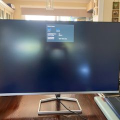 HP 32" Computer Monitor