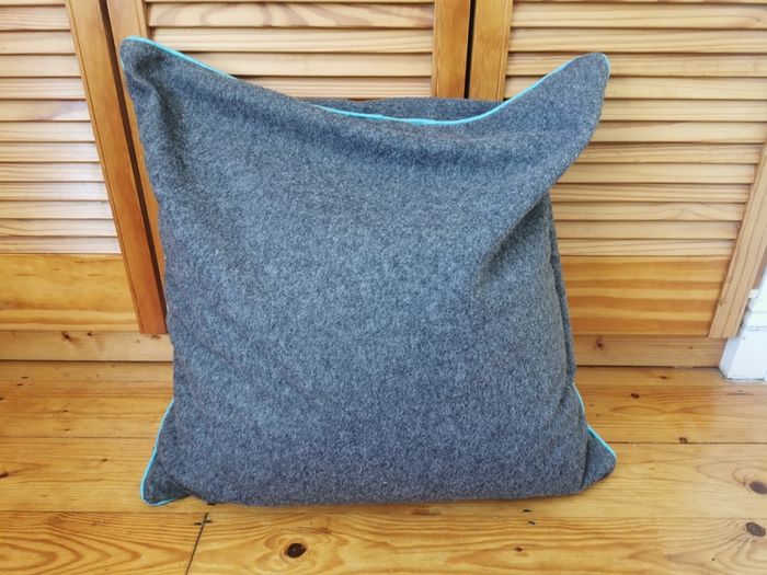 Cushion