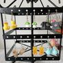 Earring stand plus earrings C Image 2