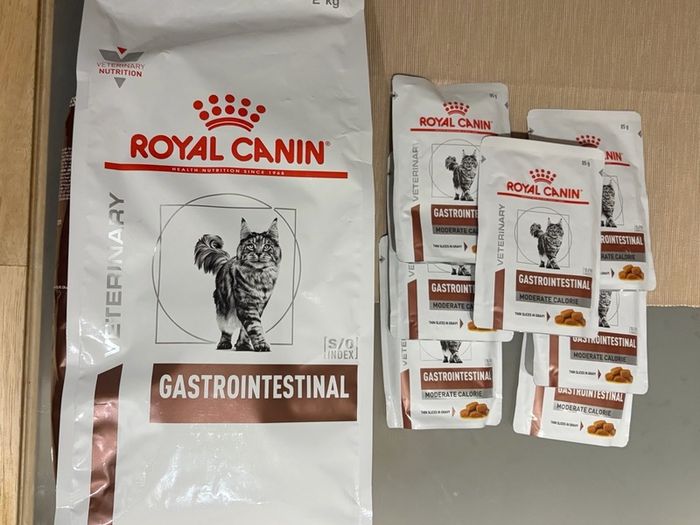 Gastrointestinal Cat food