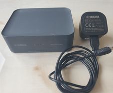 Yamaha MusicCast WXAD-10