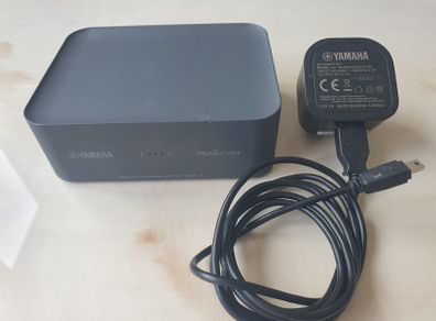 Yamaha MusicCast WXAD-10
