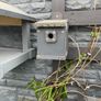 Bird table and bird box Image 2