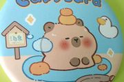 Capybara handheld mirror