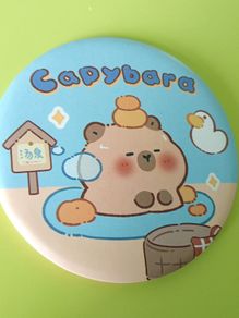 Capybara handheld mirror
