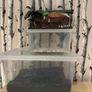 Full Fish Tank Setup Image 10