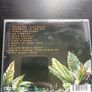The Cat Empire - Steal the Light CD Image 3