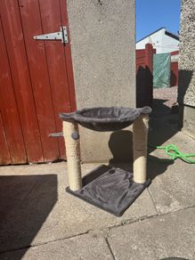 Cat Tree - good condition