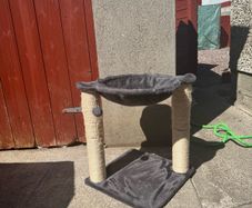 Cat Tree - good condition