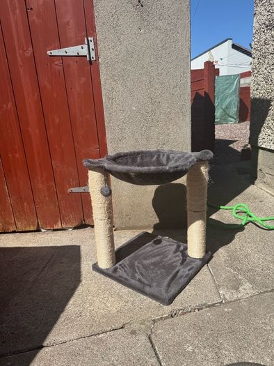Cat Tree - good condition