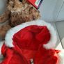 New teddy with red coat tags attached Image 6