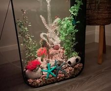 Aquarium 45 L with multi colour remote control, Biorb Life