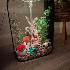 Aquarium 45 L with multi colour remote control, Biorb Life