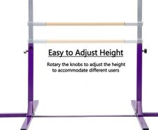 Gymnastics bars Purple