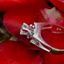 Vintage 1970s Diamond Solitaire Ring - 18ct White Gold Image 6