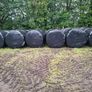 Bales silage Image 5