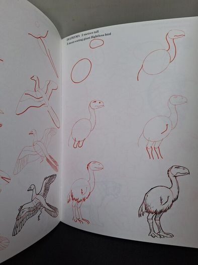 SALE! Set of 4 DRAW 50 drawing books: Dinosaurs, Flowers, Animals and Endangered Animals