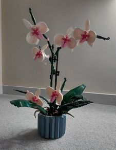 Lego Botanical Collection Orchid