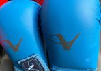 2 Karate gloves and shield
