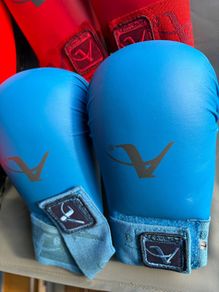 2 Karate gloves and shield