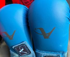 2 Karate gloves and shield