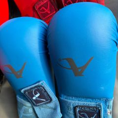 2 Karate gloves and shield