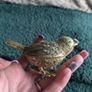 Gold effect bird trinket box Image 2