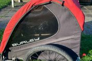 Burly honey bee duo bike trailer