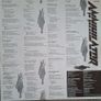 Annihilator Never, Neverland 1990 Roadrunner original RR 9374 Image 3