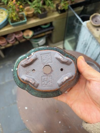 bonsai pot