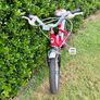 Royalbaby 14" Chipmunk children's bike (red) Image 3