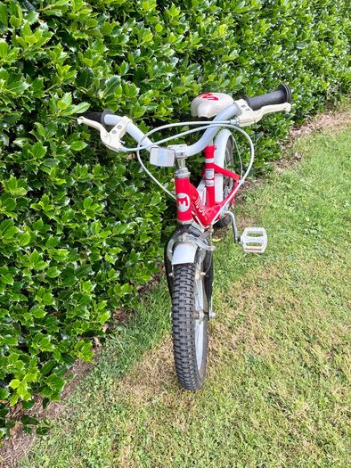 Royalbaby 14" Chipmunk children's bike (red)