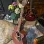 Takamine G Series Image 2