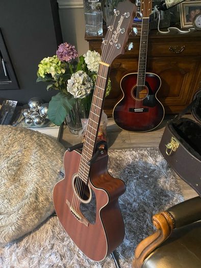 Takamine G Series