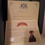 Sergei -Compare the Meerkat Image 2