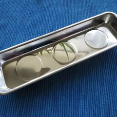 Magnetic Tray