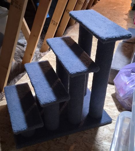 Large Cat Steps