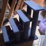 Large Cat Steps Image 2
