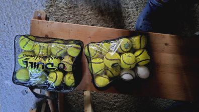 sliotars