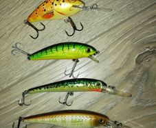 Pike spinning plugs