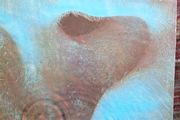 Vinyl Pink Floyd Meddle
