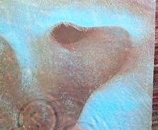 Vinyl Pink Floyd Meddle