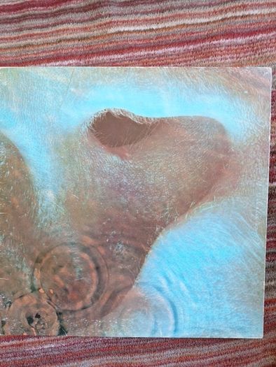 Vinyl Pink Floyd Meddle