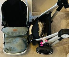 Babylo Panorama Travel System