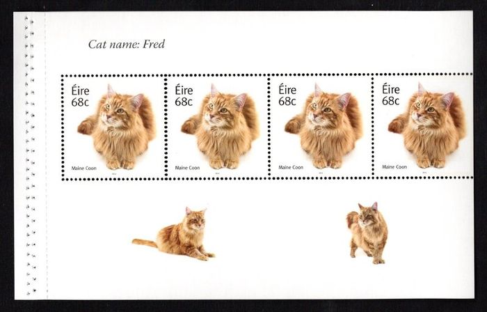2014 Ireland Cats Commemorative Stamp Booklet Mint Never Hinged (MNH). Hibernian HB202. Photos of contents shown.