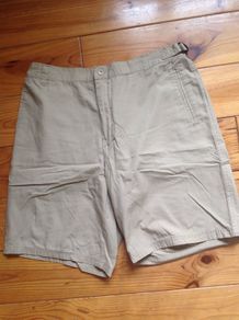 Size 36 Beige Cream Lightweight Shorts
