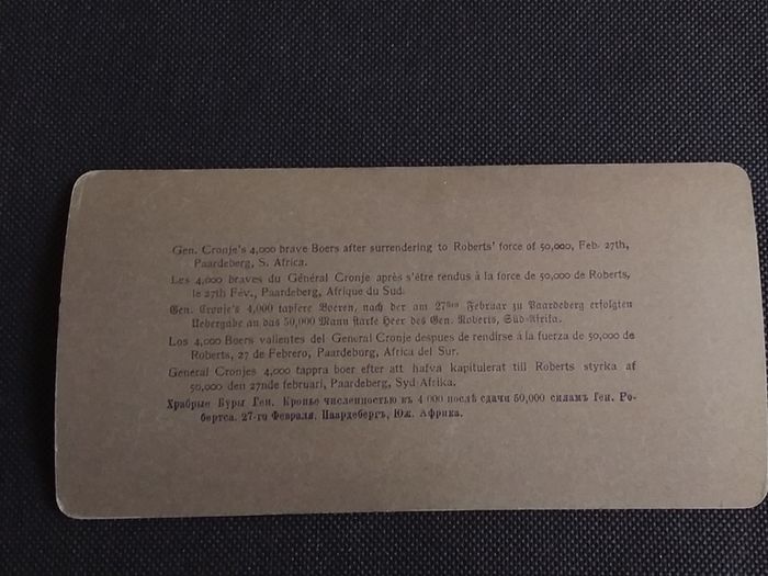 Boer War : Stereoscopic Photo Card " Gen. Cronje's 4000 Boer's Surrender " 1900s